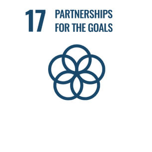 SDG Icon 17 - "Partnership for the goals"